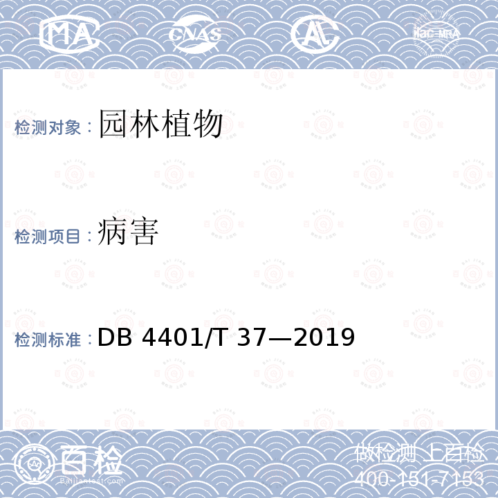 病害 园林绿化植物材料 DB4401/T 37—2019