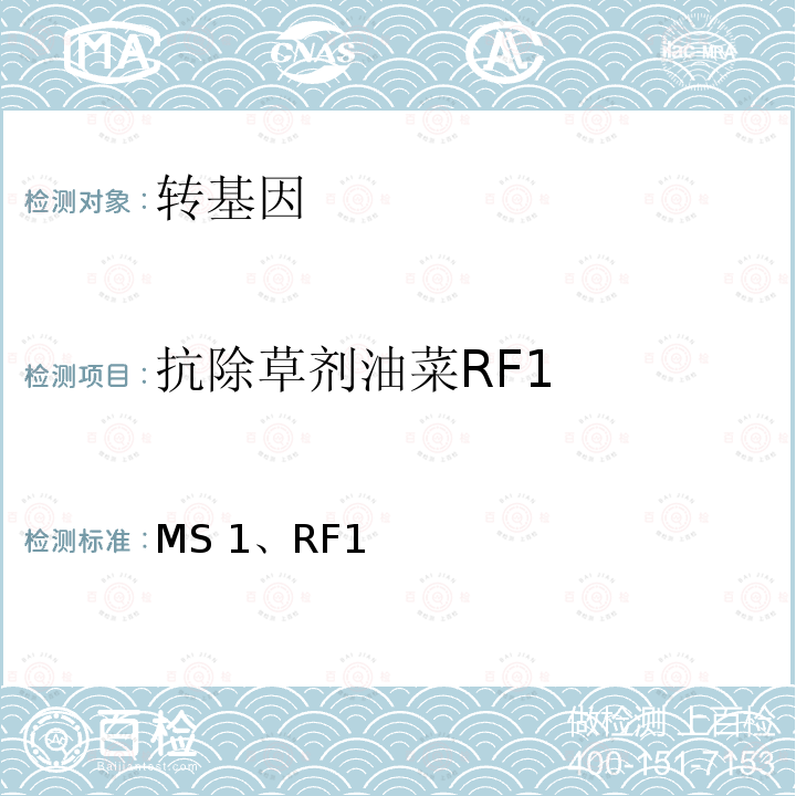 抗除草剂油菜RF1 MS 1、RF1 转基因植物及其产品成分检测抗除草剂油菜MS1、RF1及其衍生品种定性PCR方法农业部869号公告-4-2007