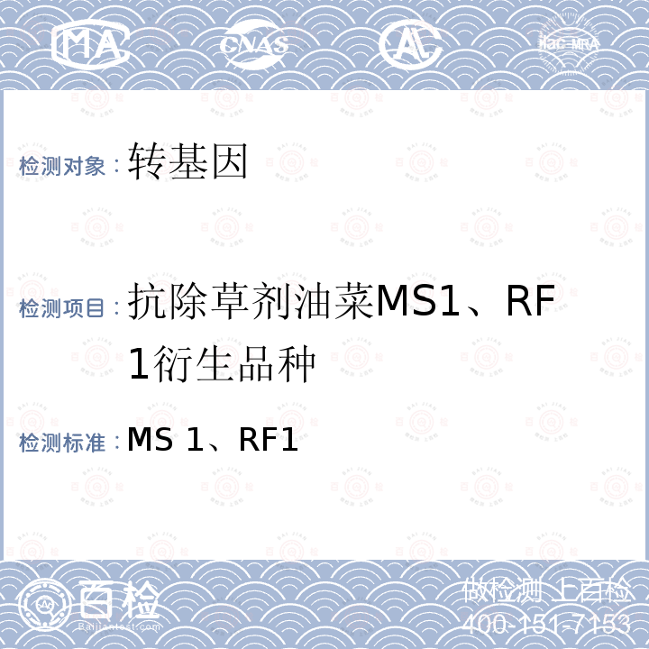 抗除草剂油菜MS1、RF1衍生品种 MS 1、RF1 转基因植物及其产品成分检测抗除草剂油菜MS1、RF1及其衍生品种定性PCR方法农业部869号公告-4-2007