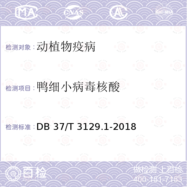 鸭细小病毒核酸 DB37/T 3129.1-2018 鸭细小病毒感染诊断技术 第1部分：病毒分离鉴定