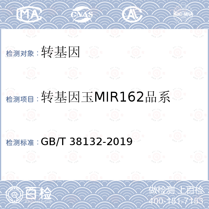 转基因玉MIR162品系 GB/T 38132-2019 转基因植物品系定量检测数字PCR法