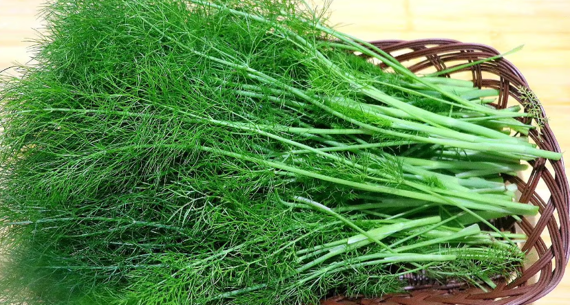 绿叶蔬菜中，它称“第一”！养阳驱寒、补肾，还是胃病克星，你吃过吗？