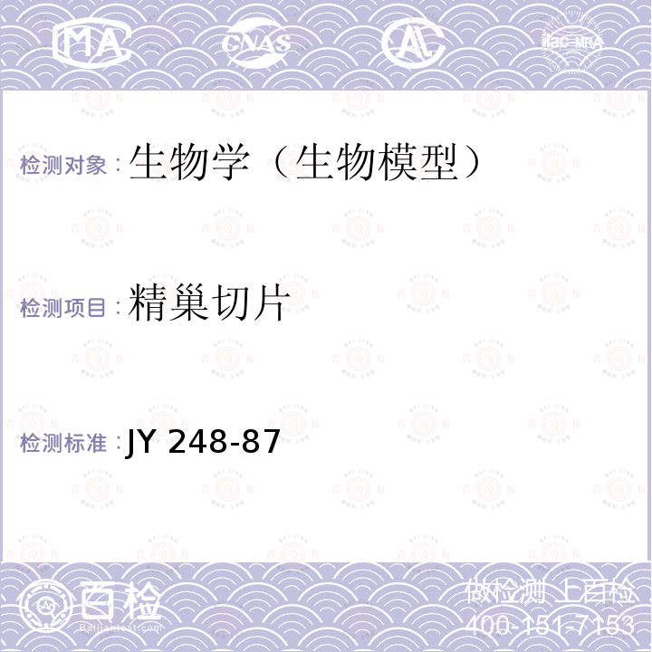 精巢切片 JY 248-87  