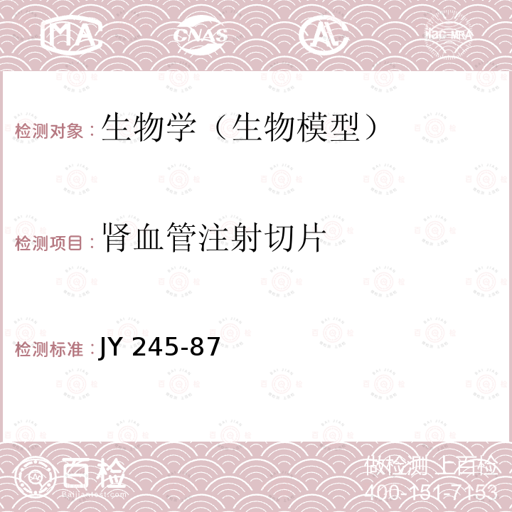 肾血管注射切片 JY 245-87  