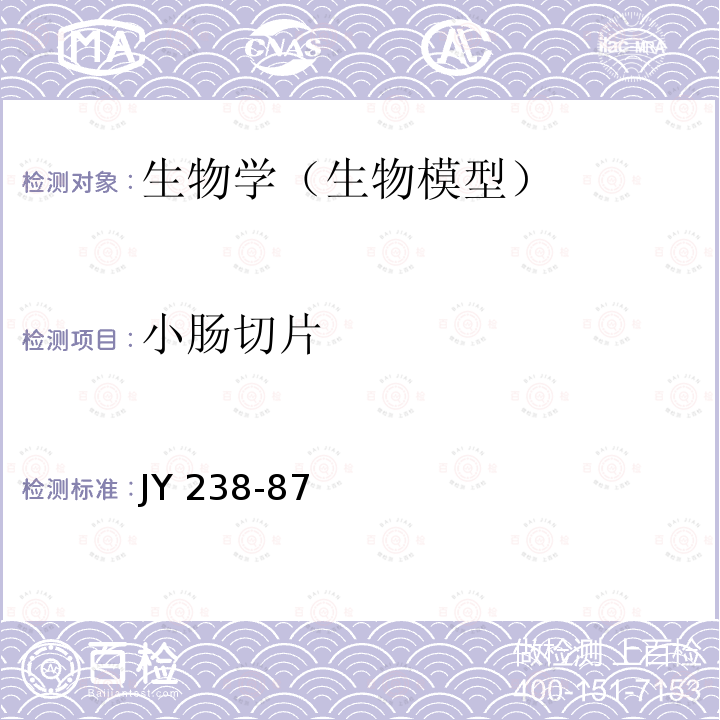 小肠切片 JY 238-87  