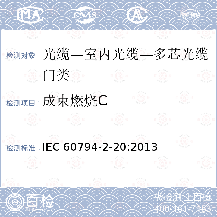 成束燃烧C IEC 60794-2-20  :2013