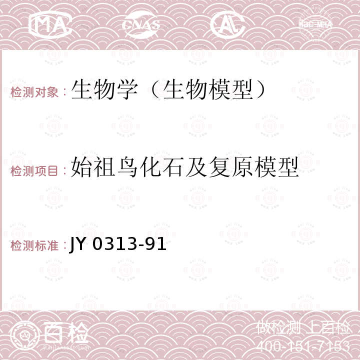 始祖鸟化石及复原模型 JY 0313-91  