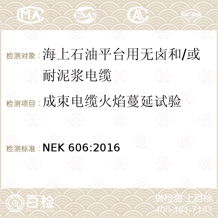 成束电缆火焰蔓延试验 成束电缆火焰蔓延试验 NEK 606:2016