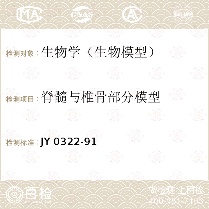 脊髓与椎骨部分模型 JY 0322-91  