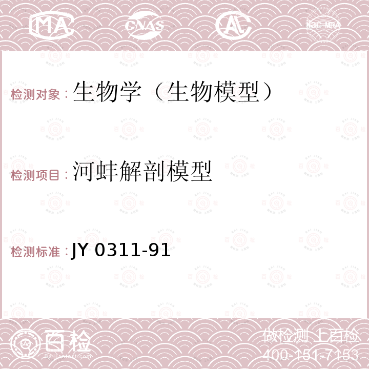 河蚌解剖模型 JY 0311-91  