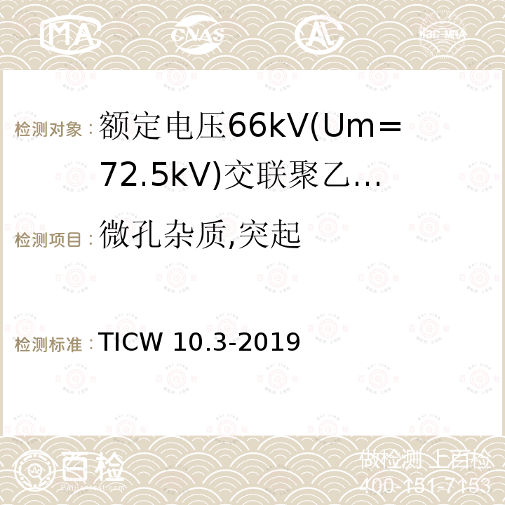 微孔杂质,突起 TICW 10.3-2019  