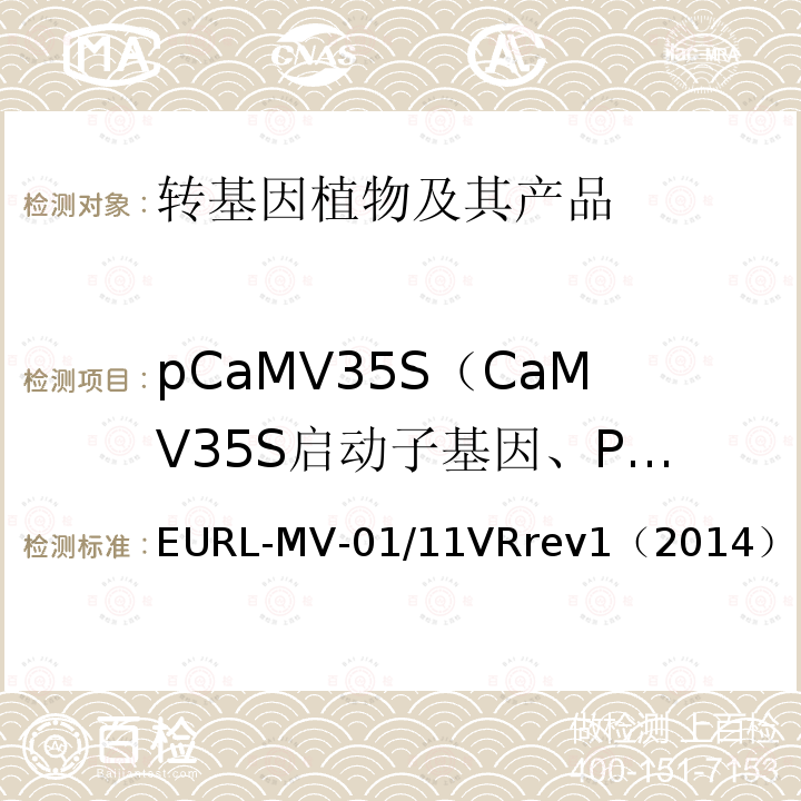 pCaMV35S（CaMV35S启动子基因、P-35S基因） EURL-MV-01/11VRrev1（2014）  