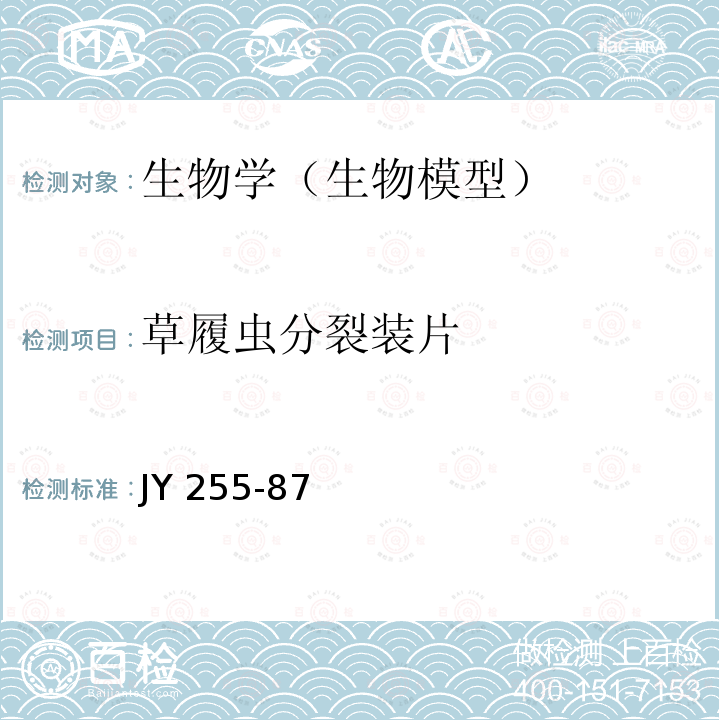 草履虫分裂装片 JY 255-87  