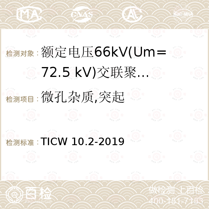 微孔杂质,突起 TICW 10.2-2019  