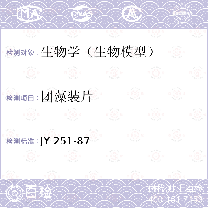团藻装片 JY 251-87  