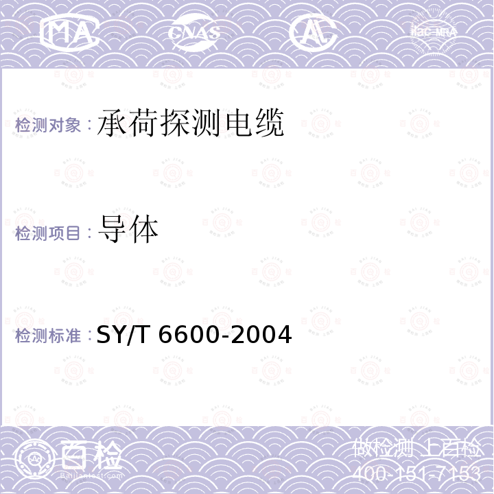 导体 SY/T 6600-200  4