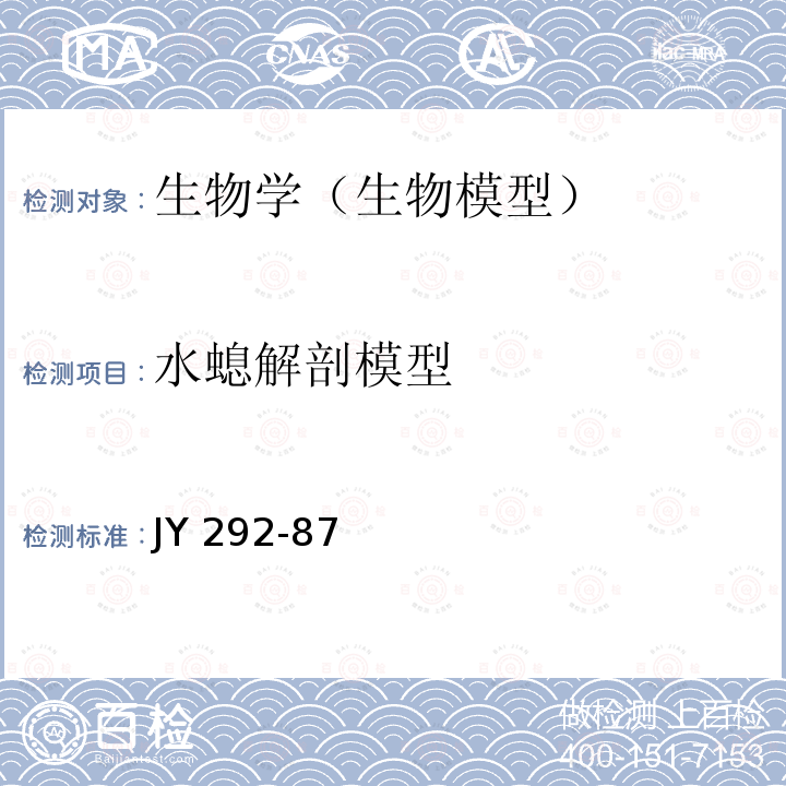 水螅解剖模型 JY 292-87  