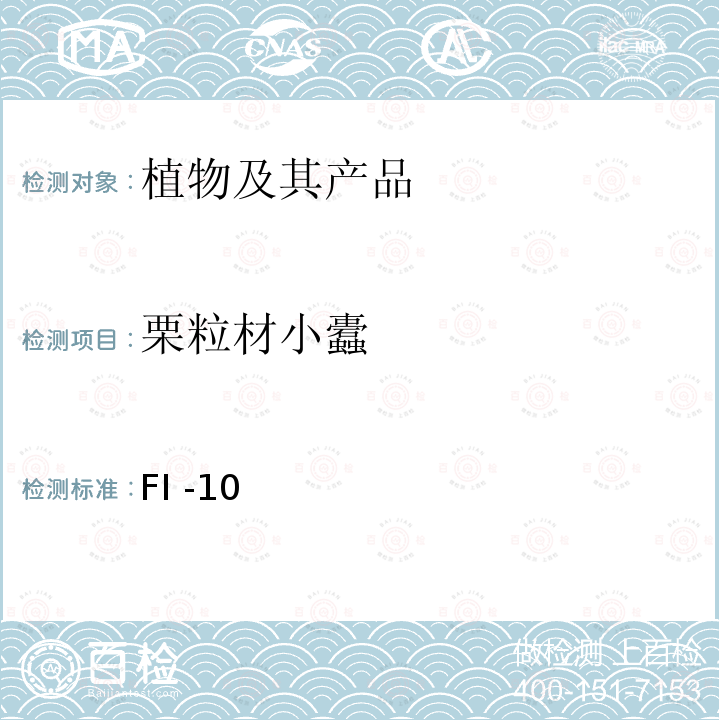 栗粒材小蠹 FI -10  