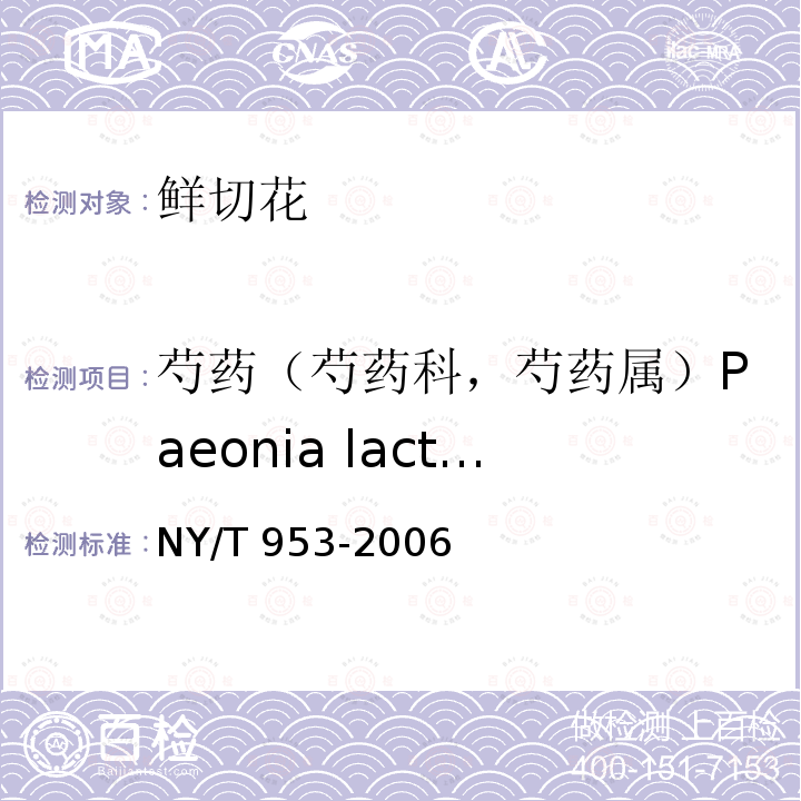 芍药（芍药科，芍药属）Paeonia lactiflora Pall. 芍药（芍药科，芍药属）Paeonia lactiflora Pall. NY/T 953-2006