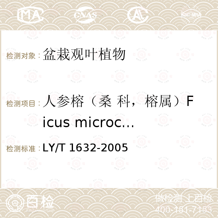 人参榕（桑 科，榕属）Ficus microcarpa 人参榕（桑 科，榕属）Ficus microcarpa LY/T 1632-2005