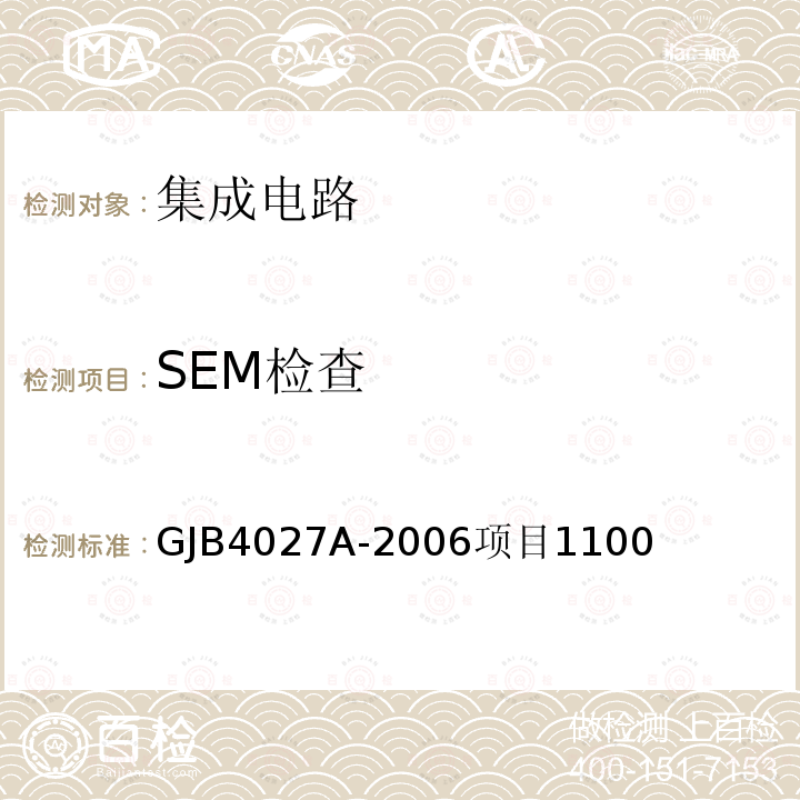 SEM检查 SEM检查 GJB4027A-2006项目1100
