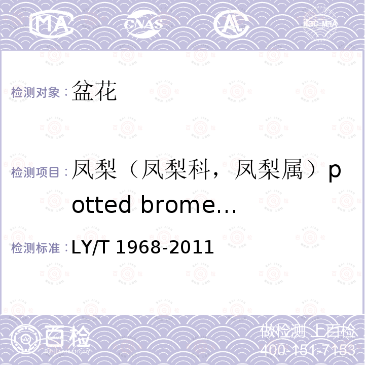 凤梨（凤梨科，凤梨属）potted bromeliads(Bromeliaceae) LY/T 1968-2011 凤梨盆花产品质量等级