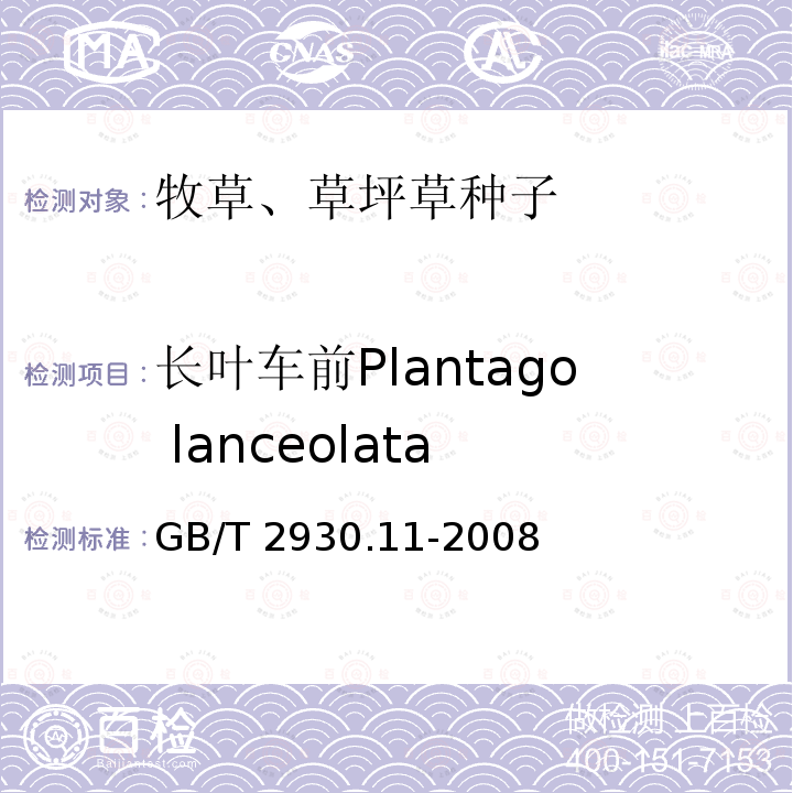 长叶车前Plantago lanceolata 长叶车前Plantago lanceolata GB/T 2930.11-2008