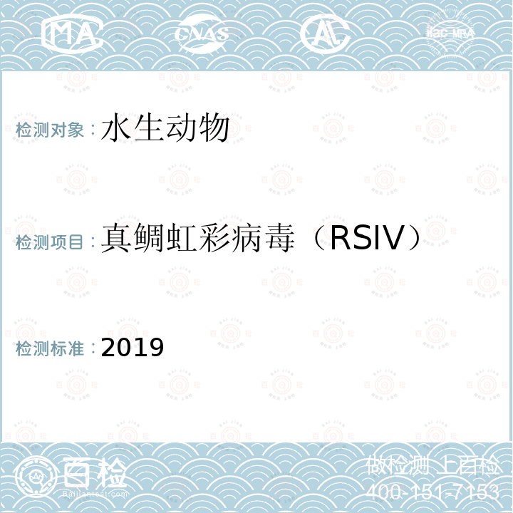 真鲷虹彩病毒（RSIV） 2019  