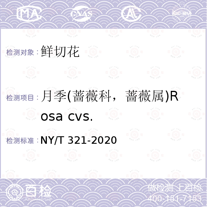 月季(蔷薇科，蔷薇属)Rosa cvs. 月季(蔷薇科，蔷薇属)Rosa cvs. NY/T 321-2020
