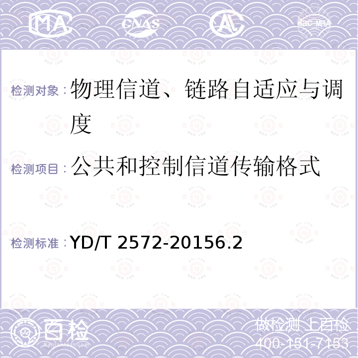公共和控制信道传输格式 YD/T 2572-20156.2  