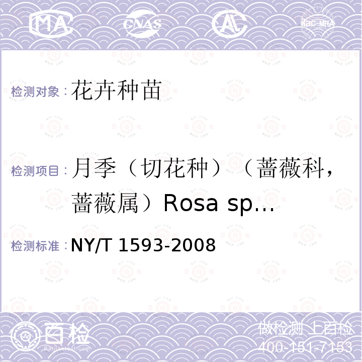 月季（切花种）（蔷薇科，蔷薇属）Rosa spp. NY/T 1593-2008 月季切花种苗等级规格