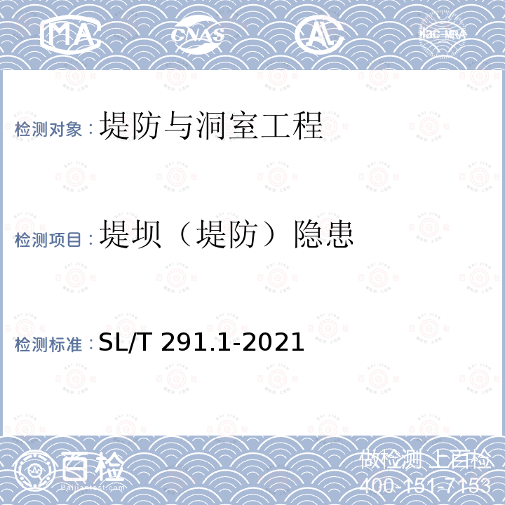 堤坝（堤防）隐患 SL/T 291.1-2021 水利水电工程勘探规程 第1部分:物探