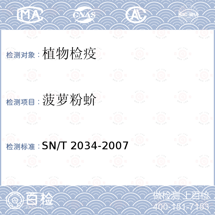 菠萝粉蚧 SN/T 2034-2007 香蕉灰粉蚧和新菠萝灰粉蚧检疫鉴定方法