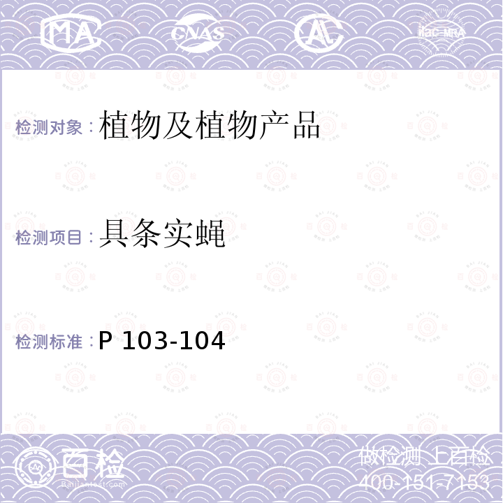 具条实蝇 P 103-104  