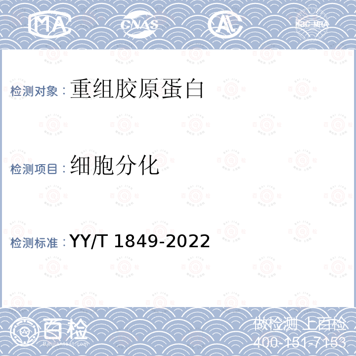 细胞分化 细胞分化 YY/T 1849-2022