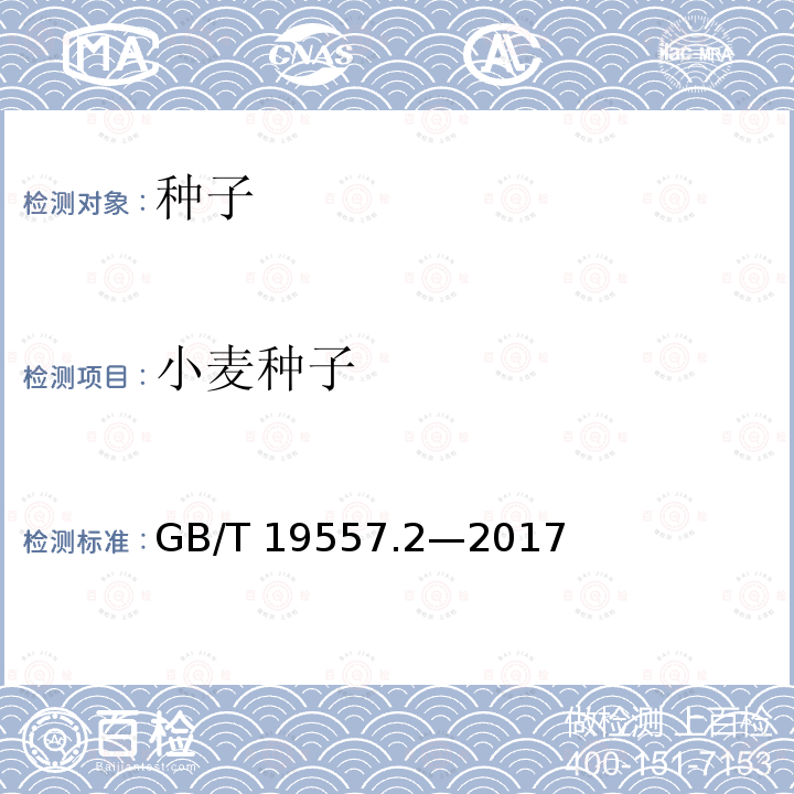 小麦种子 GB/T 19557.2-2017 植物品种特异性、一致性和稳定性测试指南 普通小麦