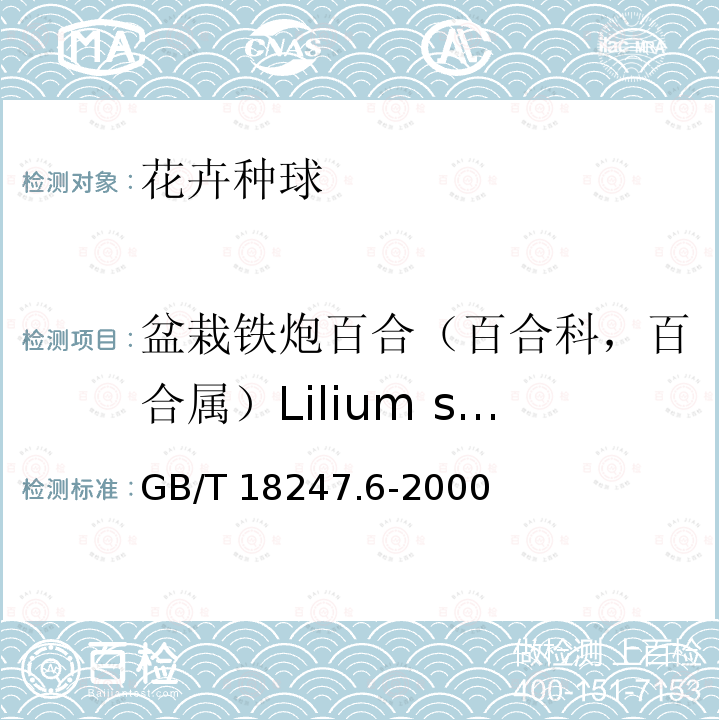 盆栽铁炮百合（百合科，百合属）Lilium spp.(Longiflorum pot) GB/T 18247.6-2000 主要花卉产品等级 第6部分:花卉种球