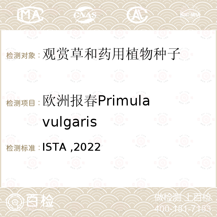 欧洲报春Primula vulgaris ISTA ,2022  