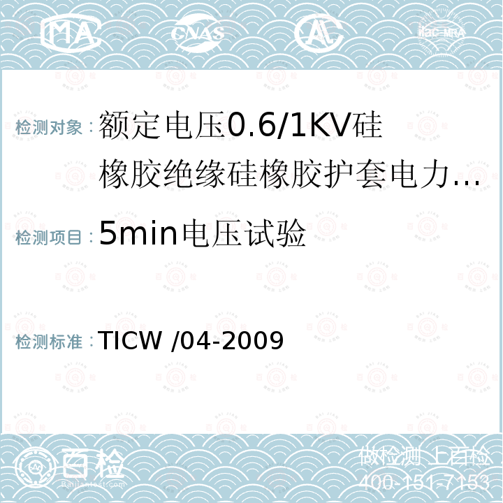 5min电压试验 TICW /04-2009  