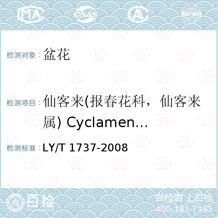 仙客来(报春花科，仙客来属) Cyclamen persicum LY/T 1737-2008 仙客来盆花产品质量等级