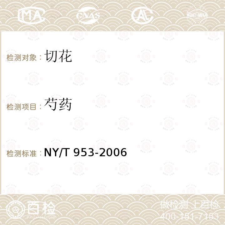 芍药 NY/T 953-2006 芍药切花