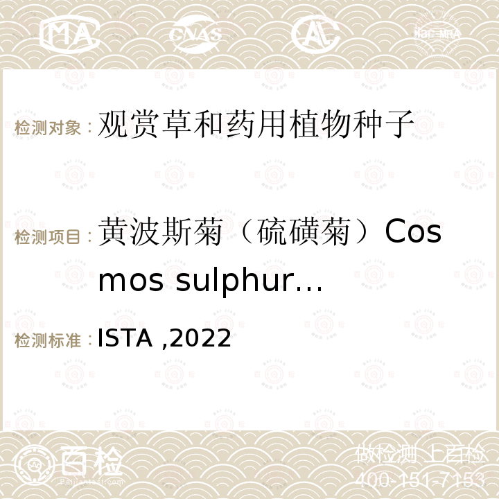 黄波斯菊（硫磺菊）Cosmos sulphureus 黄波斯菊（硫磺菊）Cosmos sulphureus ISTA ,2022