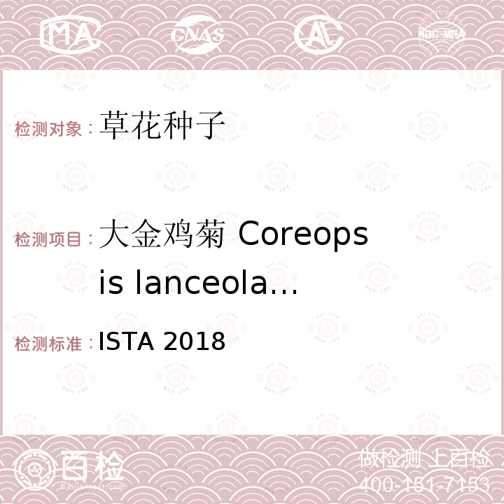大金鸡菊 Coreopsis lanceolata ISTA 2018  