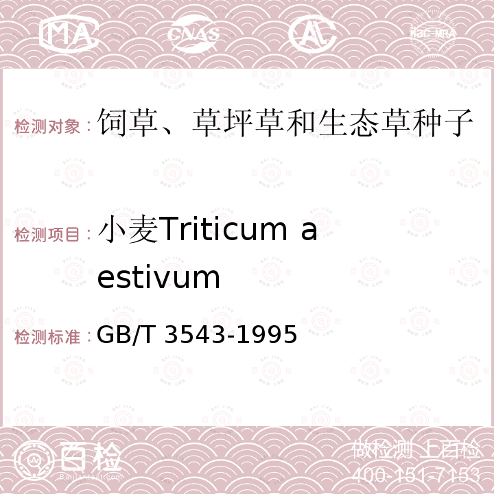 小麦Triticum aestivum GB/T 3543-1995  