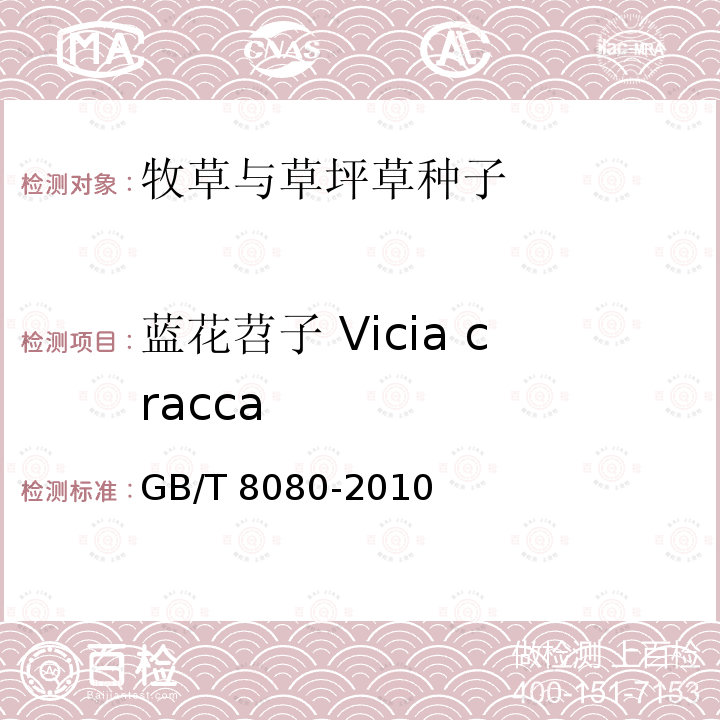 蓝花苕子 Vicia cracca 蓝花苕子 Vicia cracca GB/T 8080-2010