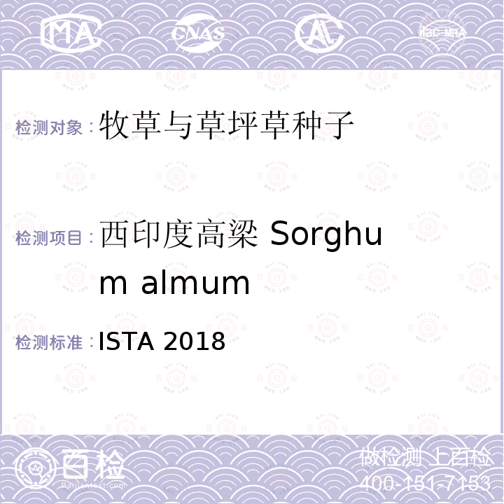 西印度高梁 Sorghum almum ISTA 2018  