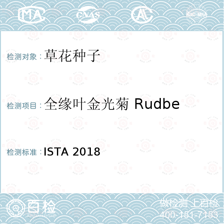 全缘叶金光菊 Rudbeckia fulgida ISTA 2018  