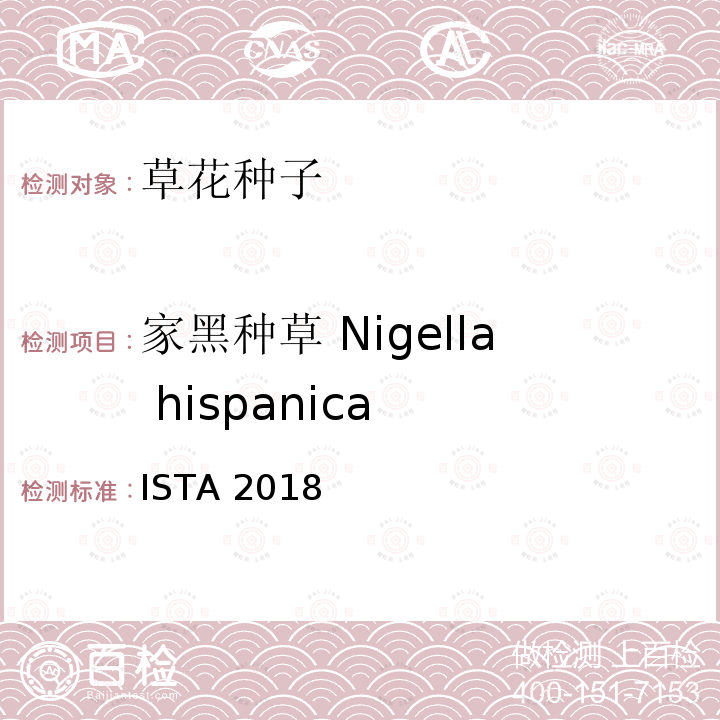家黑种草 Nigella hispanica ISTA 2018  