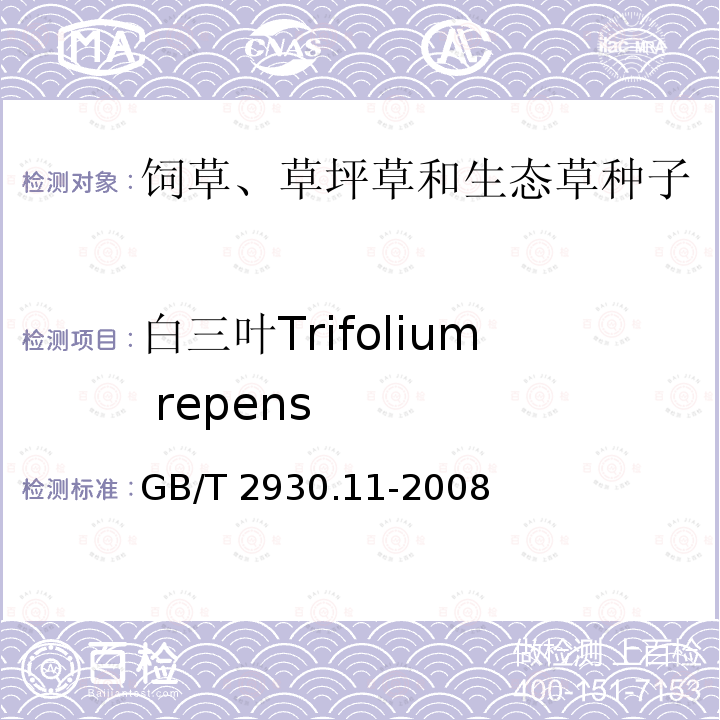 白三叶Trifolium repens 白三叶Trifolium repens GB/T 2930.11-2008