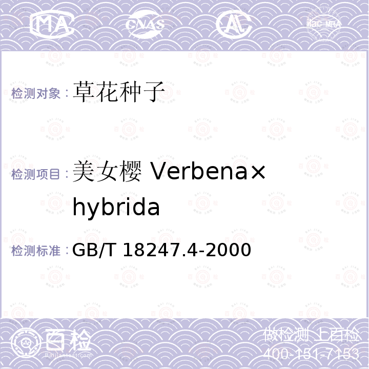 美女樱 Verbena×hybrida GB/T 18247.4-2000 主要花卉产品等级 第4部分:花卉种子